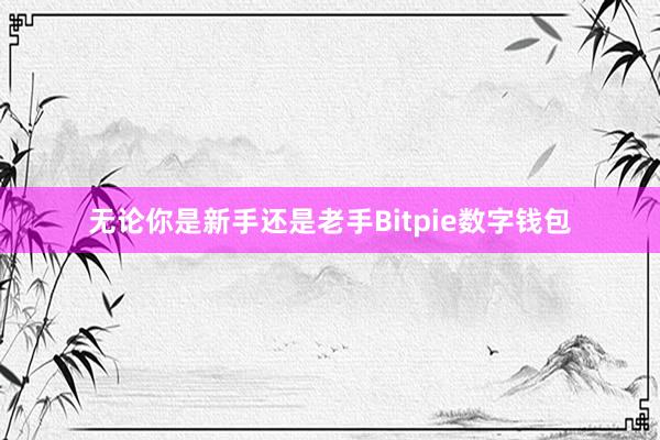 无论你是新手还是老手Bitpie数字钱包