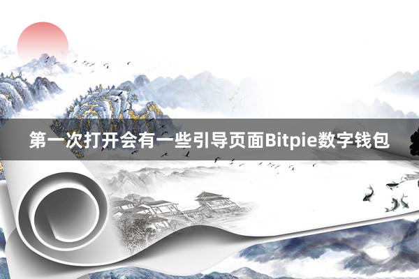 第一次打开会有一些引导页面Bitpie数字钱包