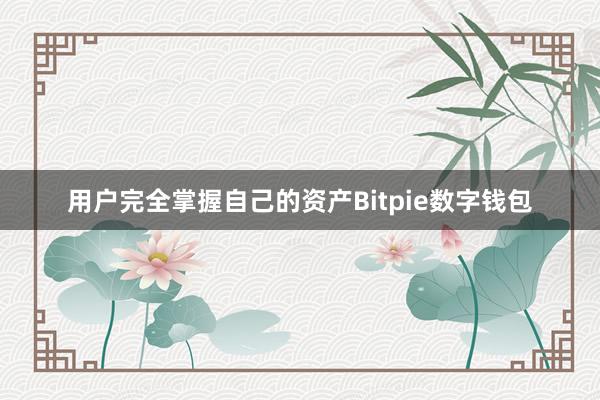 用户完全掌握自己的资产Bitpie数字钱包