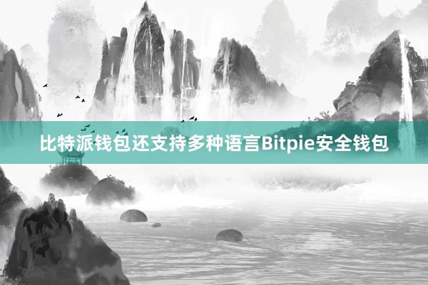 比特派钱包还支持多种语言Bitpie安全钱包