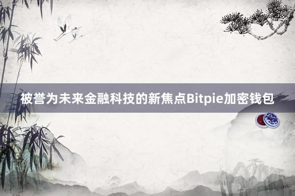 被誉为未来金融科技的新焦点Bitpie加密钱包