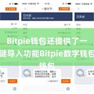 Bitpie钱包还提供了一键导入功能Bitpie数字钱包